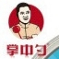 掌中勺品牌故事-logo設(shè)計(jì)分析(圖1)