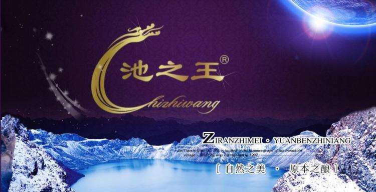 池之王品牌logo與食品包裝設(shè)計(jì)欣賞(圖2)