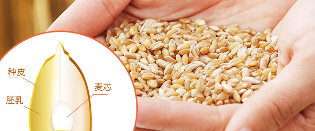 發(fā)達面粉食品包裝設(shè)計欣賞(圖4)