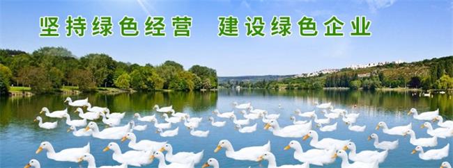 忠意食品食品包裝設(shè)計欣賞(圖2)